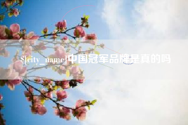 偃师中国冠军品牌是真的吗