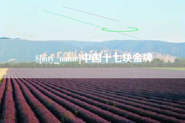 偃师中国十七块金牌