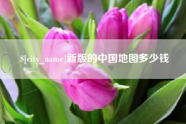 偃师新版的中国地图多少钱