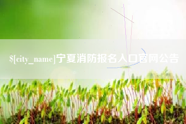 偃师宁夏消防报名入口官网公告