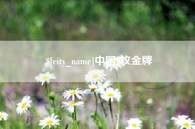 偃师中国9枚金牌