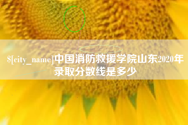 偃师中国消防救援学院山东2020年录取分数线是多少