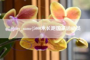 偃师5000米长跑国家运动员