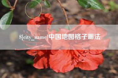 偃师中国地图格子画法