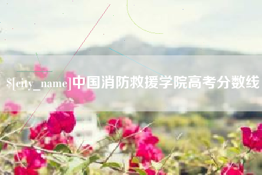 偃师中国消防救援学院高考分数线