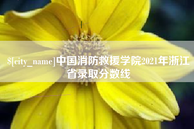偃师中国消防救援学院2021年浙江省录取分数线