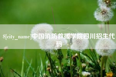 偃师中国消防救援学院四川招生代码
