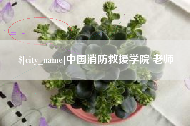 偃师中国消防救援学院 老师