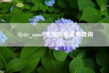 偃师全国消防证书查询
