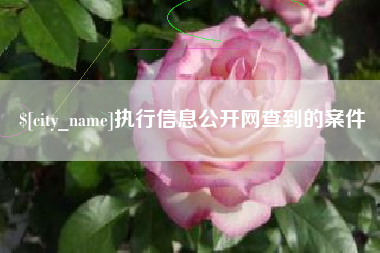 偃师执行信息公开网查到的案件