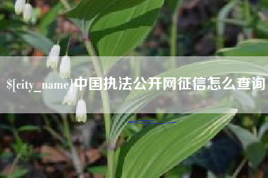偃师中国执法公开网征信怎么查询