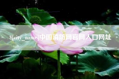 偃师中国消防网官网入口网址