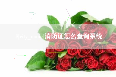 偃师消防证怎么查询系统