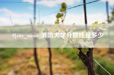 偃师消防大学分数线是多少