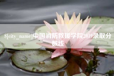 偃师中国消防救援学院2019录取分数线