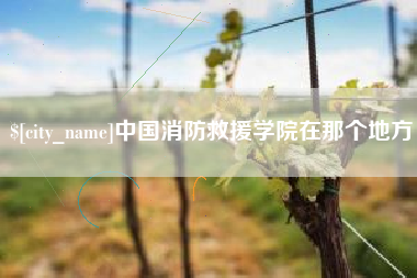 偃师中国消防救援学院在那个地方