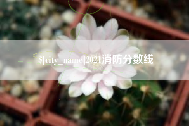 偃师2021消防分数线