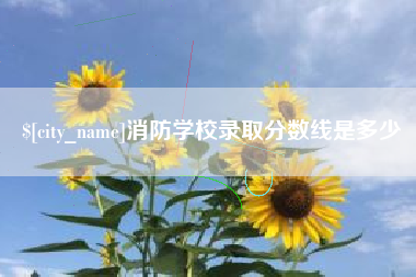 偃师消防学校录取分数线是多少