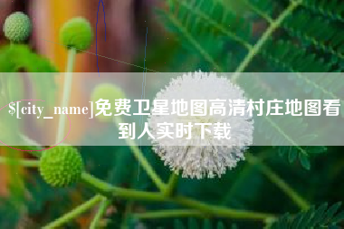 偃师免费卫星地图高清村庄地图看到人实时下载