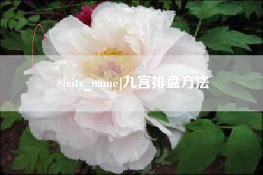 偃师九宫排盘方法