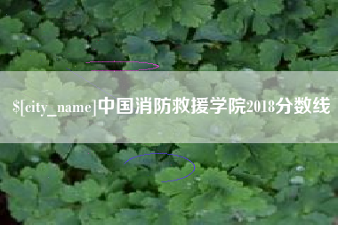 偃师中国消防救援学院2018分数线