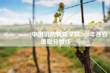 偃师中国消防救援学院2020年各省录取分数线
