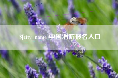 偃师中国消防报名入口