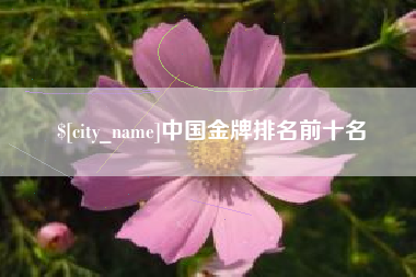 偃师中国金牌排名前十名
