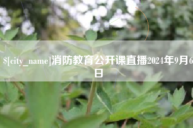 偃师消防教育公开课直播2024年9月6日