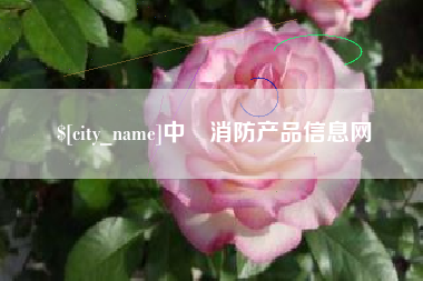 偃师中囯消防产品信息网