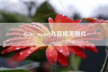 偃师九宫格龙图片