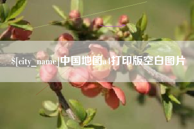 偃师中国地图a4打印版空白图片