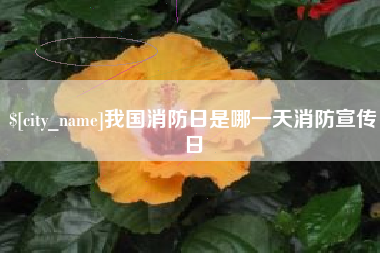 偃师我国消防日是哪一天消防宣传日
