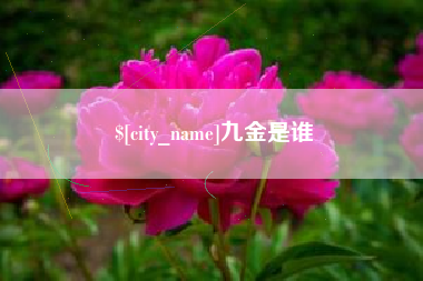 偃师九金是谁