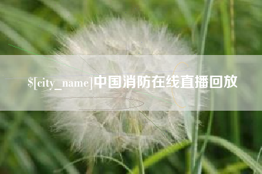 偃师中国消防在线直播回放