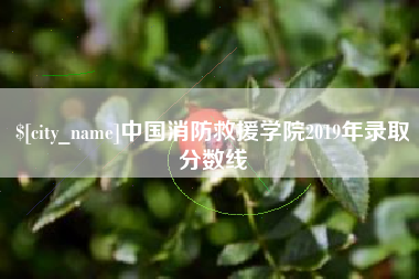 偃师中国消防救援学院2019年录取分数线
