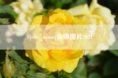 偃师金牌图片2021