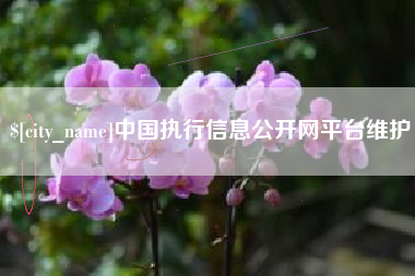 偃师中国执行信息公开网平台维护