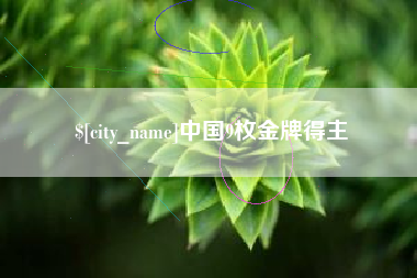 偃师中国9枚金牌得主