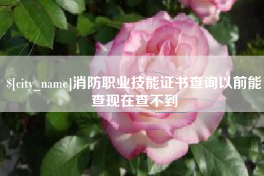 偃师消防职业技能证书查询以前能查现在查不到