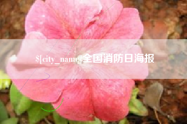 偃师全国消防日海报