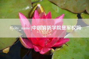 偃师中国消防学院是军校吗