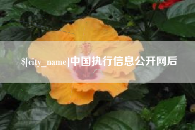 偃师中国执行信息公开网后