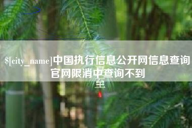 偃师中国执行信息公开网信息查询官网限消中查询不到