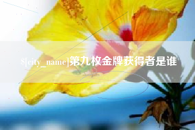 偃师第九枚金牌获得者是谁