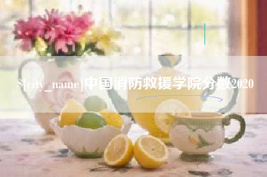 偃师中国消防救援学院分数2020