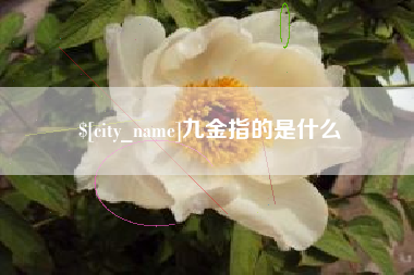 偃师九金指的是什么