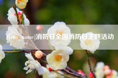偃师消防日全国消防日主题活动