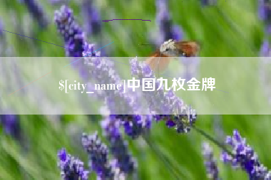 偃师中国九枚金牌