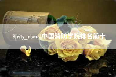 偃师中国消防学院排名前十
